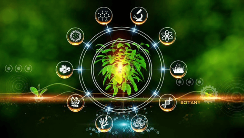 Screenshot 2025-05-07 at 10.40.18 PM